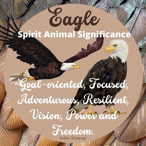 Eagle Spirit Animal Significance | Animal spirit guides, Spirit animal ...