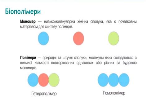 Біополімери. Вуглеводи та ліпіди - презентация онлайн