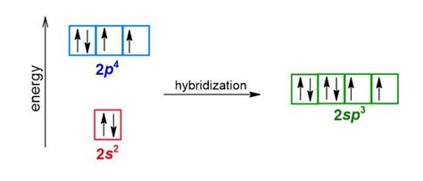 Construct an orbital diagram to show the hybrid orbitals of | Quizlet