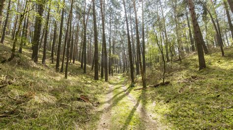 Burgenlinie Hoher Fläming Auf in den Naturpark