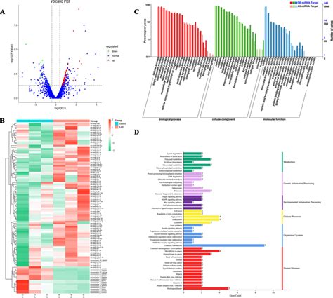 Differential Expression Of Exosomal Mirna Profiles A Differential Download Scientific Diagram