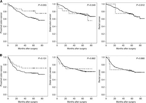 Kaplanmeier Survival Curves By Msi Status According To Tumour