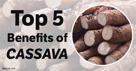 Top 5 Benefits Of Cassava