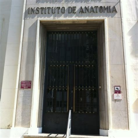 Instituto Anat Mico Facultad De Medicina Macarena Sevilla Andaluc A