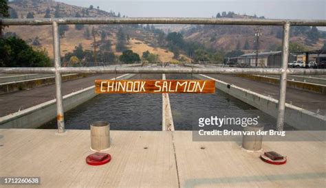 Iron Gate Dam (California) Photos and Premium High Res Pictures - Getty Images