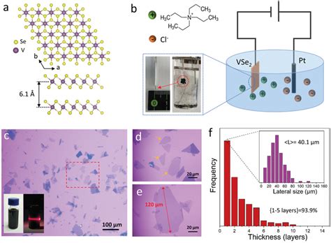 Illustration Of The Electrochemical Exfoliation Of 1t‐vse2 A Top And