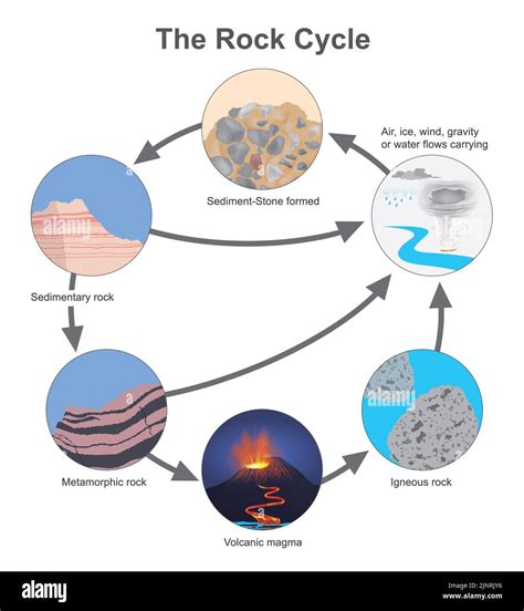 The Rock Cycle, Diagram types of a stone in cycle naturally occurring Stock Photo - Alamy