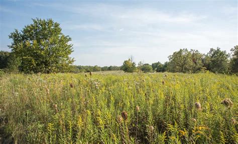 Discover Why Illinois Is Called the Prairie State - A-Z Animals