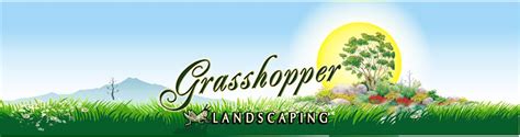 Grasshopper Landscaping and Maintenance