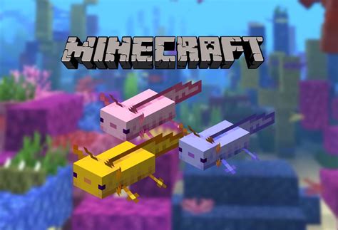 Como Domar Un Axolotl En Minecraft