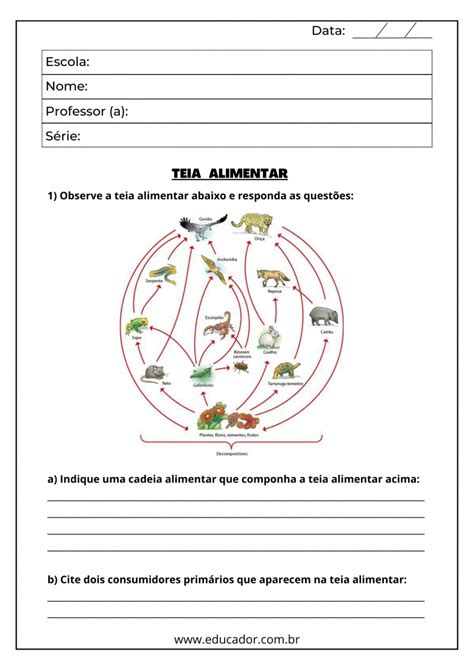 Atividades Sobre Cadeia Alimentar Para Ano Educador