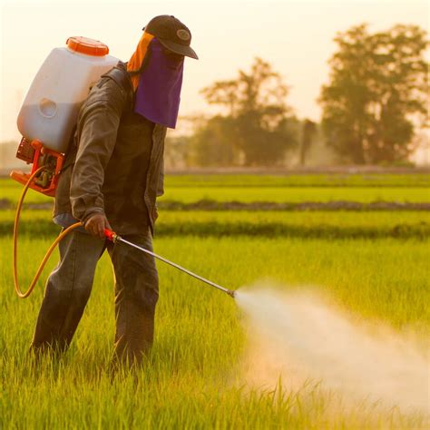 Soluciones Para Reducir El Uso De Pesticidas