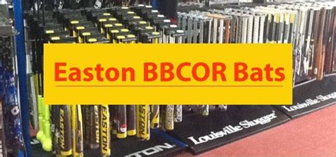 Easton BBCOR Bats - One Of Top Brands - Bats Finder