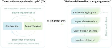 Schematic Diagram Of Two Research Paradigms In The Field Of