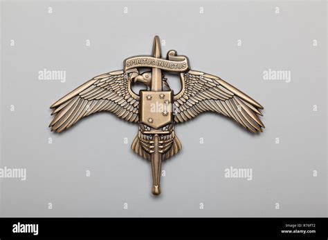 The Marine Special Operator Insignia for Marine Special Operations aka ...