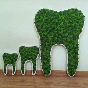 Dental Office Decor Tooth Wall Art With Preserved Moss Dental