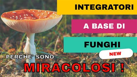 IN AMERICA LI USANO TUTTI INTEGRATORI A BASE DI FUNGHI QUALI E