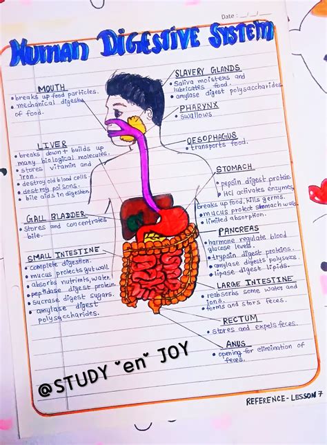 Chemistry Lessons Biology Lessons Biology Notes Science Notes Study