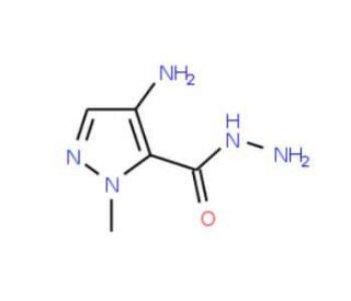 4 Amino 2 Methyl 2H Pyrazole 3 Carboxylic Acid Hydrazide SCBT Santa