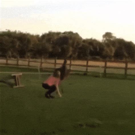 Best emu GIFs - Primo GIF - Latest Animated GIFs