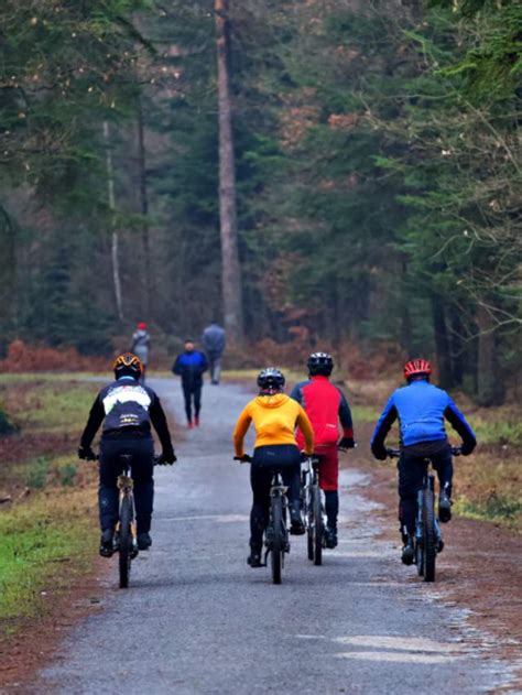 The Great American Rail-Trail: 5 Things Cyclists Should Know ...