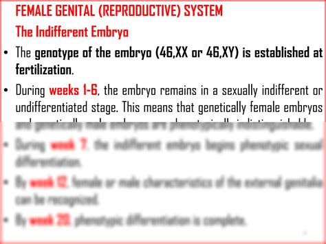 Solution Histology Of The Female Reproductive System Lecture Notes