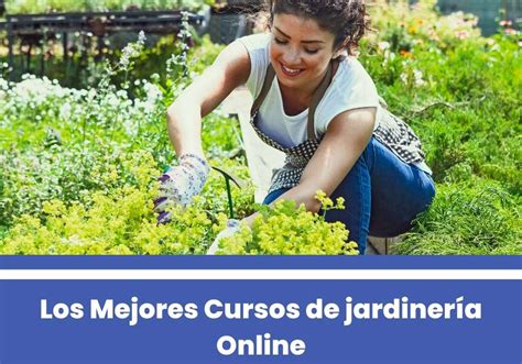 Los Mejores Cursos De Jardiner A Online