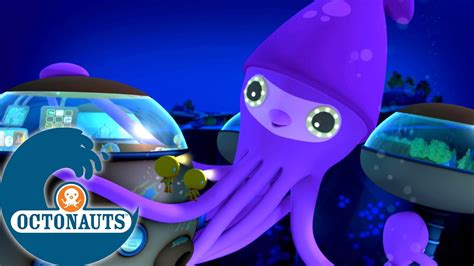 Octonauts Le calamar gigantesque et la baleine boréale Dessins