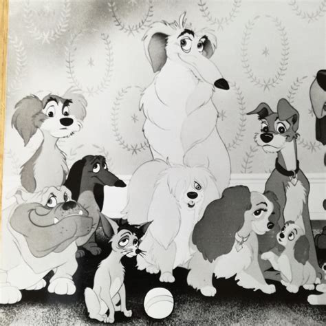 Photo du dessin animé La Belle et le Clochard Walt Disney 1955