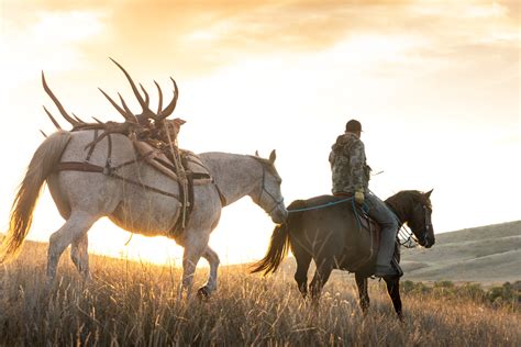 Montana Hunting Regulations Trophy Ranches