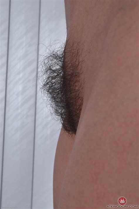 Hairy Pubis Ispowednik