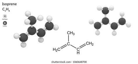 Structural Chemical Formula Molecular Structure Isoprenec5h8 Stock Illustration 1060648700 ...