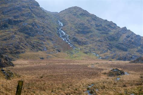 Blanket Bog Plants — Discover Iveragh