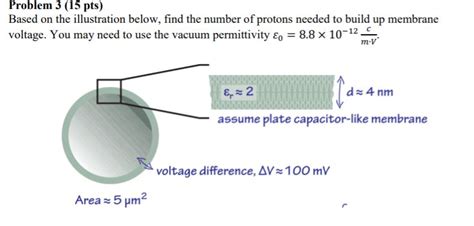 Vacuum Permittivity | Bruin Blog