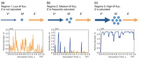 Cartoon Representation Of Three Dynamical Regimes Of A Bacterial