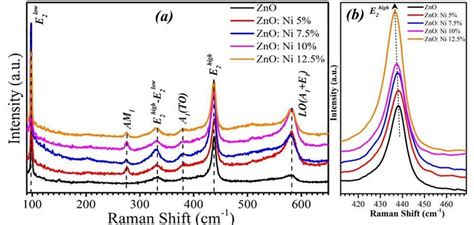 Colour Online Displays A RT Raman Spectra Of Pure And Ni Doped ZnO