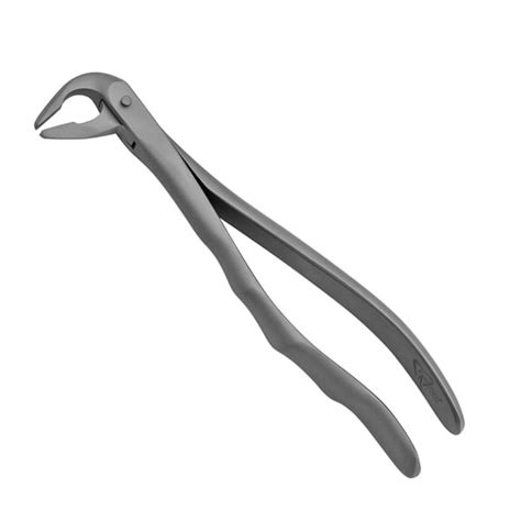 Prodent Usa Tapered Lower Anterior Extraction Forceps In Sandblast