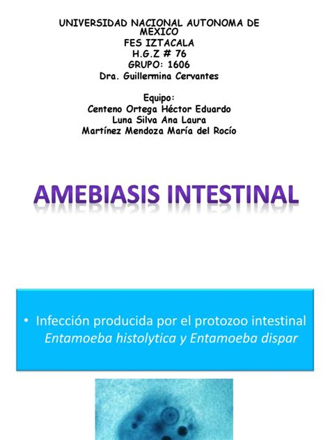 Amebiasis Intestinal Pdf Sistema Digestivo Epidemiología