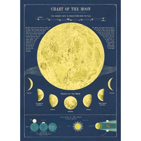 Moon phases / cosmic vintage chart poster print – Six Things Shop Australia