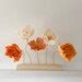 Icelandic Poppies Bouquets Etsy