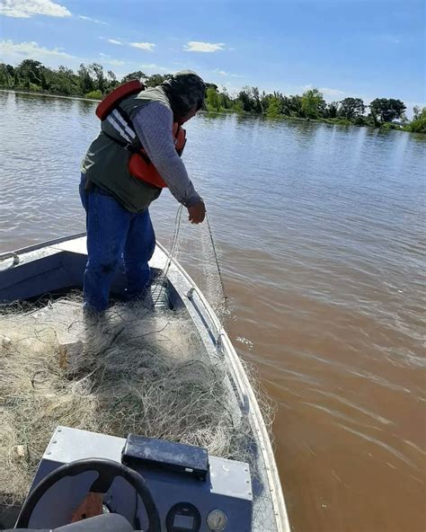 Diario Hoy Mortandad De Peces Estrictos Controles En Aguas De Los