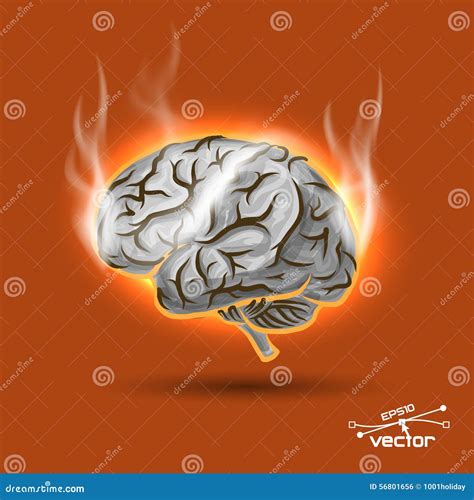 Melting Brain Stock Vector Illustration Of Graphic Burn 56801656