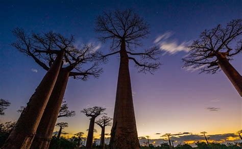 Morondava Tsaradia 2 Weekly Flights