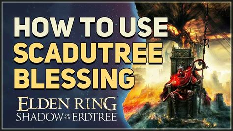 How To Use Scadutree Blessing Elden Ring Youtube