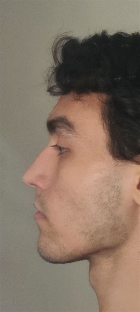 I'm Greek, but is my nose greek? : r/Noses