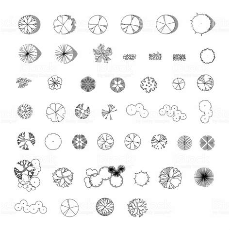 Landscape architecture drawing symbols images | DRAWING 99