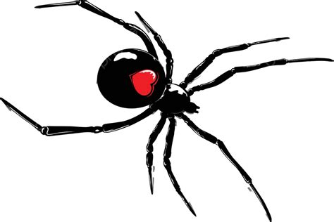 Aranha Halloween Aracnofobia Perigo Vetor PNG Dia Das Bruxas