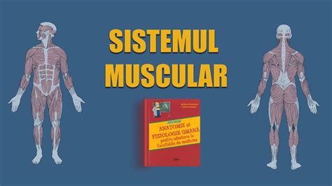 C Sistemul Muscular Live Barron S Admitere Medicin Youtube