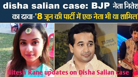 Crucial Updates Shared By Nitesh Rane On Disha Salian Case Youtube