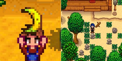 Stardew Valley All The New Crops Trees Added In 1 5